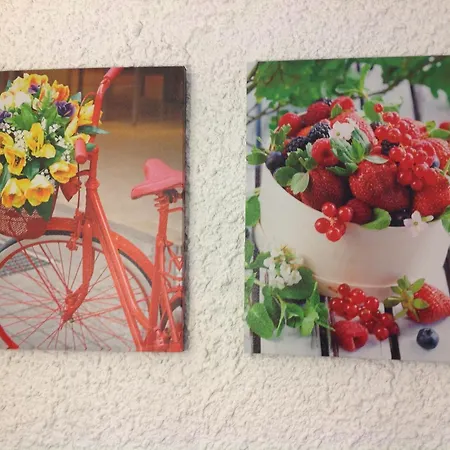 Aialion & - Steve * Rhodes City